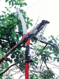 sekator-teleskopowy-do-galezi-gasienicowy-nozyce