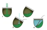 yerba-mate-green-despalada-1kg-sin-palo-1000g-kod-producenta-inny