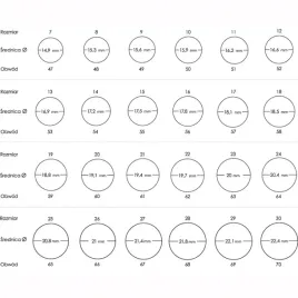 pierscionek-srebrny-pr-925-stylowy-klasyczny-pierscionek-z-turkusemor-r-20
