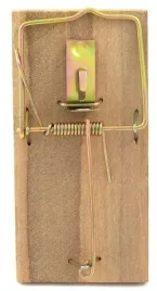 bros-lapka-na-myszy-drewniana