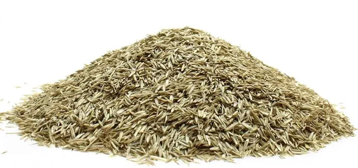 granum-trawa-gazonowa-100g-marka-granum