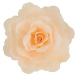 kwiaty-na-tort-waflowa-roza-chinska-ecru-55-cm