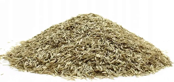 granum-trawa-renowacyjna-5kg-marka-bez-marki