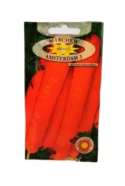 marchew-amsterdam-3-amsterdamska-wczesna-5-g