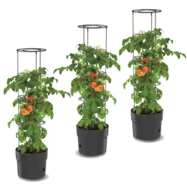 3x-donica-pomidory-truskawki-fasola-ogorki-35-cm