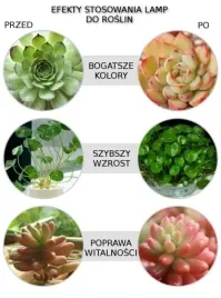 zarowka-led-grow-light-do-uprawy-roslin-20w-e27