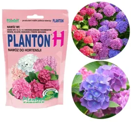 planton-h-nawoz-rozpuszczalny-do-hortensji-200g