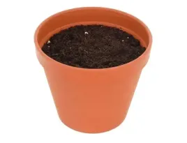 prezent-na-walentynki-zestaw-do-uprawy-zywe-kamienie-lithops-dla-niego-niej