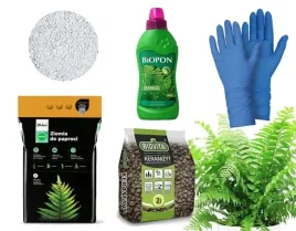 zestaw-do-przesadzania-paproci-paprotek-ziemia-nawoz-keramzyt-perlit