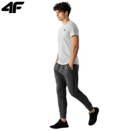 koszulka-meska-4f-t-shirt-kolekcja-limitowana-m
