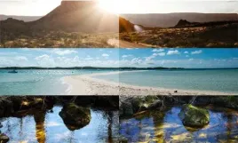 okulary-przeciwsloneczne-muchy-polaryzacyjne-etui