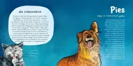 zeby-ciosy-i-siekacze-marta-pokorska-jurek