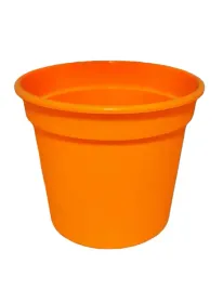 oslonka-koral-15cm-pomaranczowa