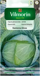 kapusta-kamienna-glowa-nasiona-02-g-vilmorin
