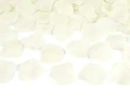 tuby-strzelajace-konfetti-platki-rozy-ecru-40cm-x4