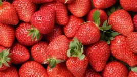 truskawka-puree-premium-menii-90percent-owoc-1kg