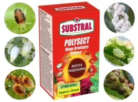 substral-polysect-005sl-na-mszyce-ochojnik-przedziorek-bukszpan-100-ml