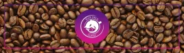 kawa-ziarnista-la-storia-oro-200g-swiezo-palona-100percent-arabica-blue-orca