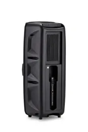 glosnik-bluetooth-usb-sd-karaoke-radio-fm-mic-bezp