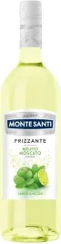 monte-santi-moijto-i-watermelon-frizzante-wino-0percent-2-x-750ml
