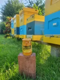 miod-mniszkowy-z-wlasnej-pasieki