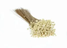 suszona-gliksja-glixia-naturalna-biala-350-szt