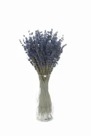 suszona-lawenda-ciemna-niebieska-bukiet-150-szt