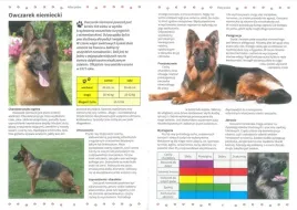 atlas-psow-rasy-pielegnacja-odzywianie-album-twarda