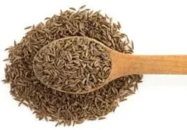 kmin-rzymski-nasiona-1-kg