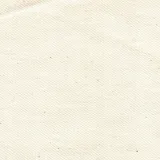 tkanina-bawelniana-surowa-145g-m2-100percent-bawelna-szer-166-cm-surowka-wzor-bez-wzoru