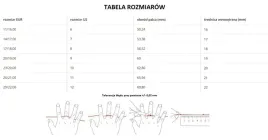 stalowy-pierscien-sygnet-punk-rock-z-lancuchem