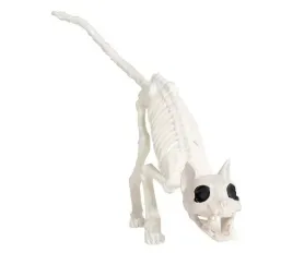 dekoracja-szkielet-kota-kotka-kot-kotek-31-cm-kosci-halloween