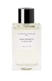 essential-parfums-rose-magnetic-edp-100-ml-flakon