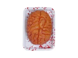 dekoracja-sztuczny-mozg-na-tacy-19-cm-horror-straszna-ozdoba-halloween