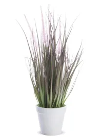 roslina-dekoracyjna-trawa-jak-prawdziwa