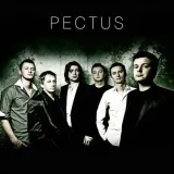 pectus-cd-pectus