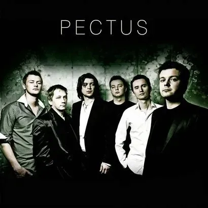 pectus-cd-pectus