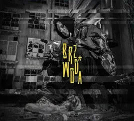 brz-woda-cd-hemp-gru