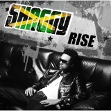 shaggy-rise-cd