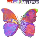 dick4dick-summer-remains-cd
