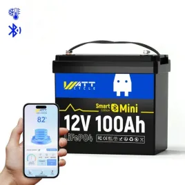 akumulator-lifepo4-12v-100ah-mini-z-bluetooth-do-fotowoltaiki-ups-kampera