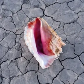 the-killers-wonderful-wonderful-cd-deluxe