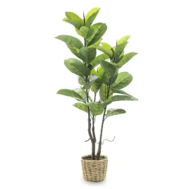 roslina-dekoracyjna-bananowiec-wiklinowa-donica