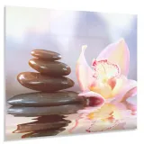 hartowany-panel-kuchenny-60x50cm-gratis