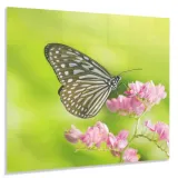 hartowany-panel-kuchenny-60x50cm-gratis