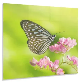 hartowany-panel-kuchenny-60x50cm-gratis