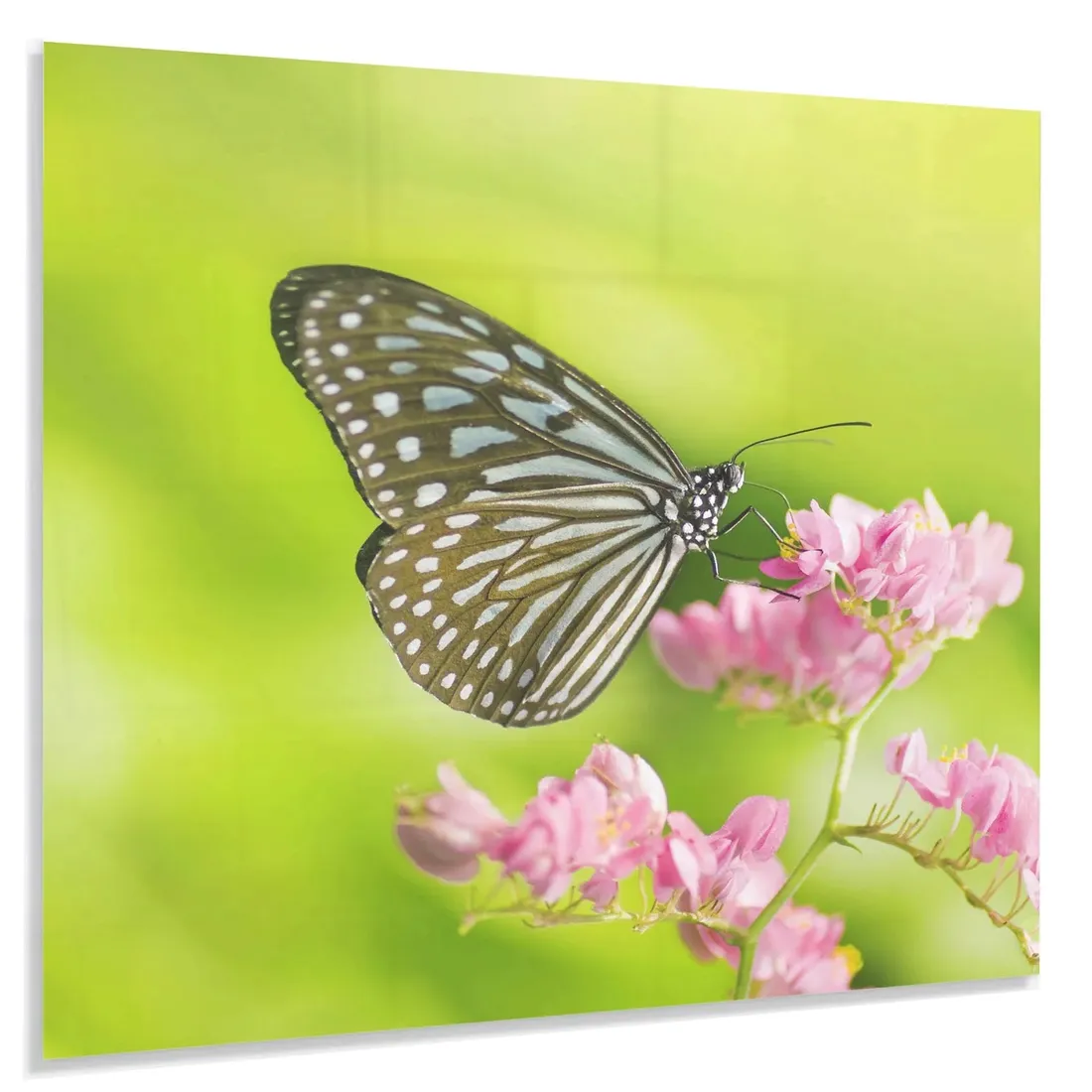 hartowany-panel-kuchenny-60x50cm-gratis