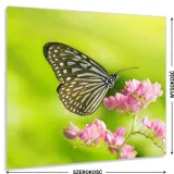 hartowany-panel-kuchenny-60x50cm-gratis-stan-nowy