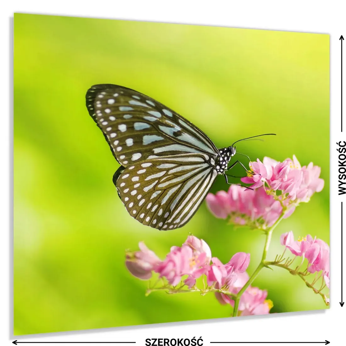 hartowany-panel-kuchenny-60x50cm-gratis