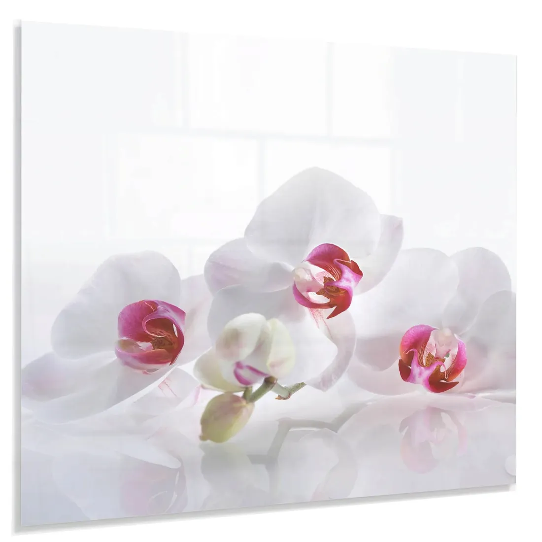 hartowany-panel-kuchenny-60x50cm-gratis